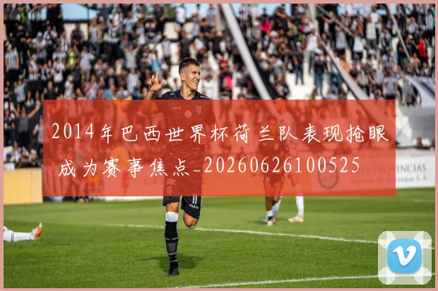2014年巴西世界杯荷兰队表现抢眼 成为赛事焦点_20260626100525
