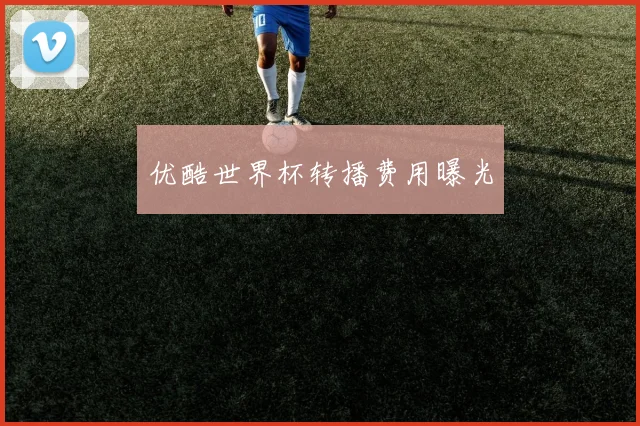 优酷世界杯转播费用曝光