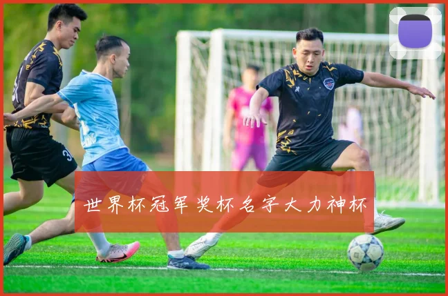 世界杯冠军奖杯名字大力神杯