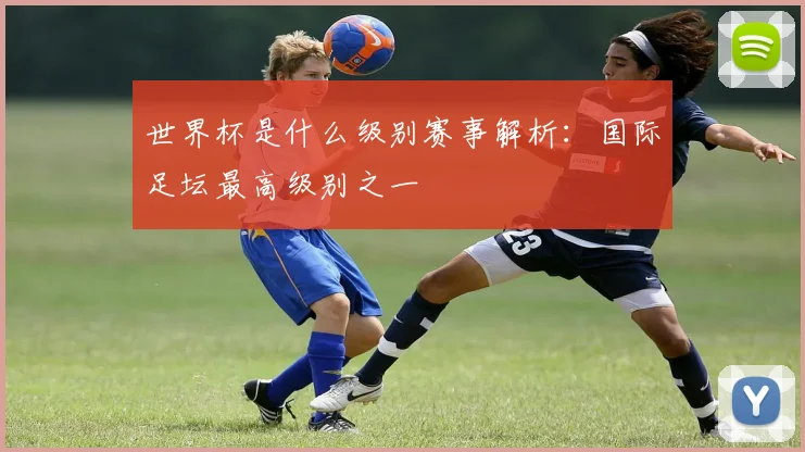 世界杯是什么级别赛事解析:国际足坛最高级别之一