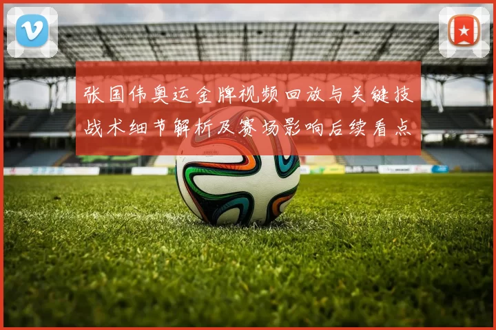 张国伟奥运金牌视频回放与关键技战术细节解析及赛场影响后续看点