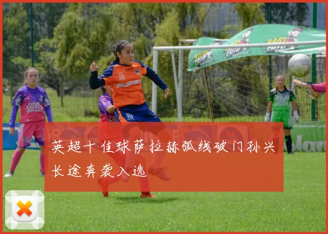 英超十佳球萨拉赫弧线破门孙兴慜长途奔袭入选